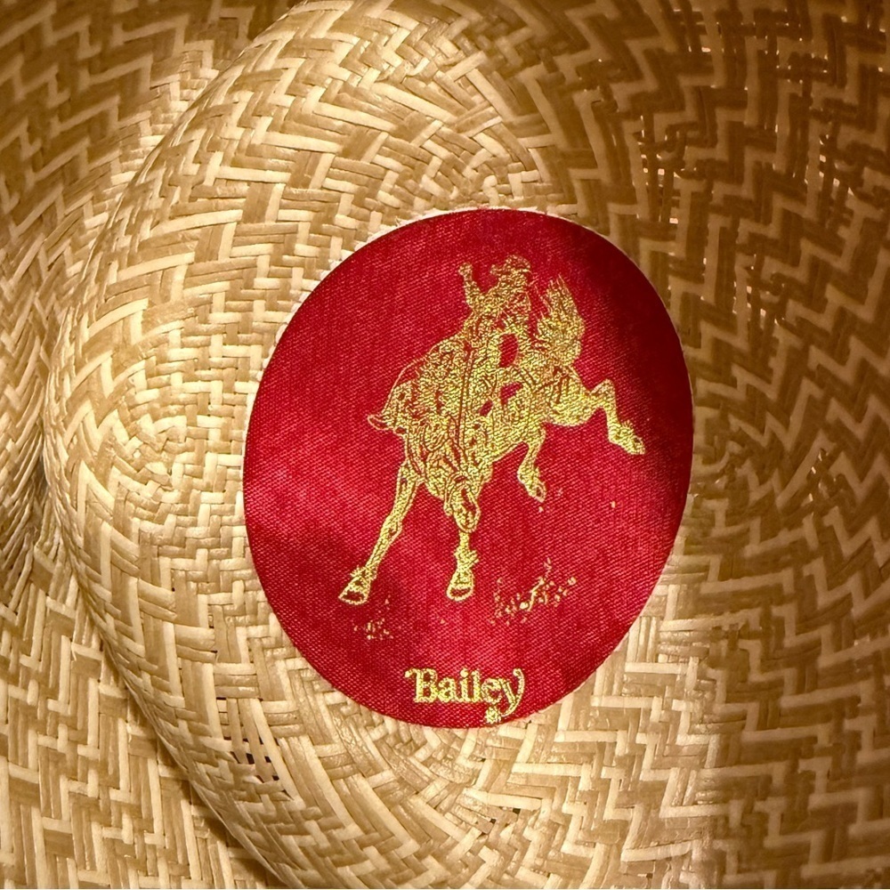 Bailey Hat - image 5